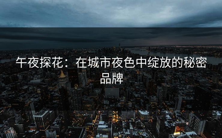 午夜探花：在城市夜色中绽放的秘密品牌