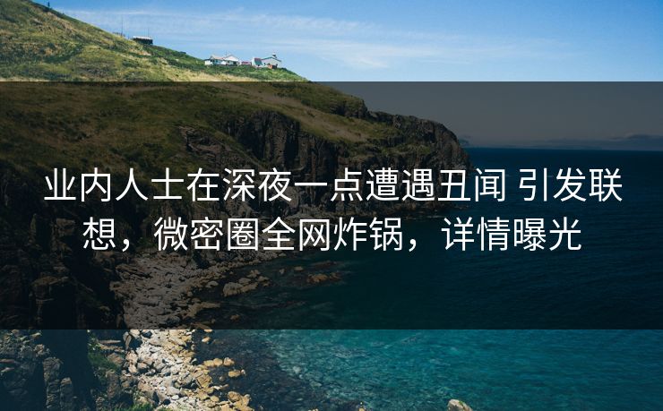 业内人士在深夜一点遭遇丑闻 引发联想，微密圈全网炸锅，详情曝光