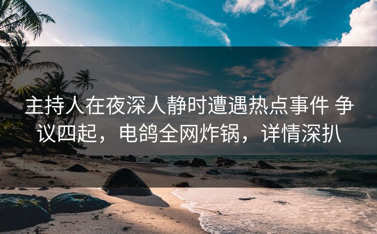 主持人在夜深人静时遭遇热点事件 争议四起，电鸽全网炸锅，详情深扒