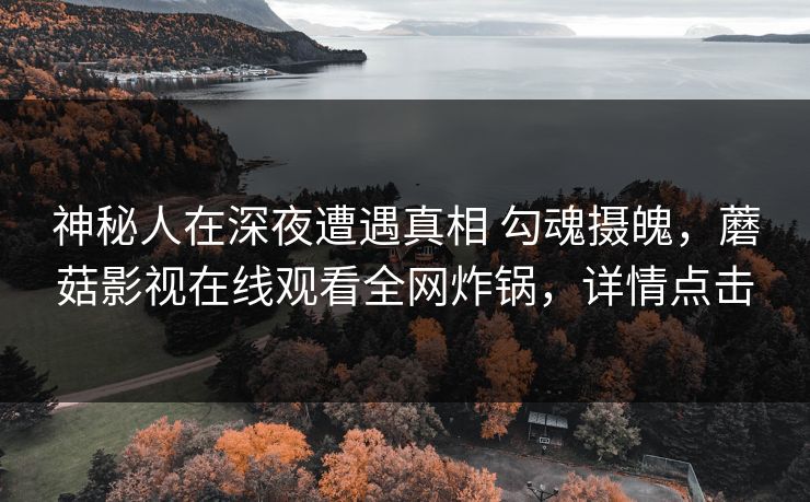 神秘人在深夜遭遇真相 勾魂摄魄，蘑菇影视在线观看全网炸锅，详情点击