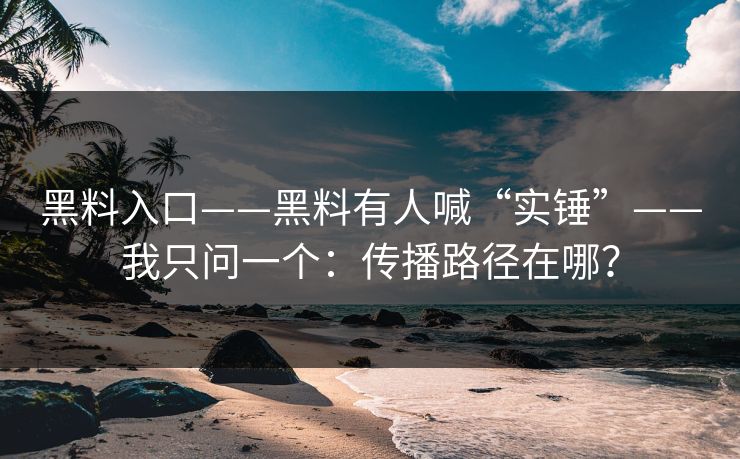 黑料入口——黑料有人喊“实锤”——我只问一个：传播路径在哪？
